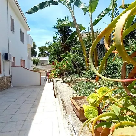 Montedarena